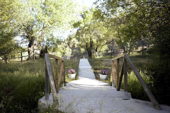 Dormir bajo las estrellas en Madrid