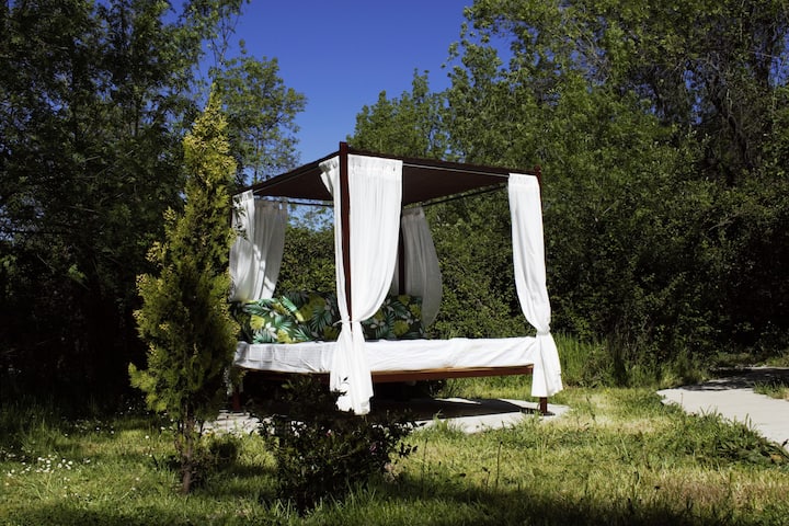 Foto de galería Natura Domo 1