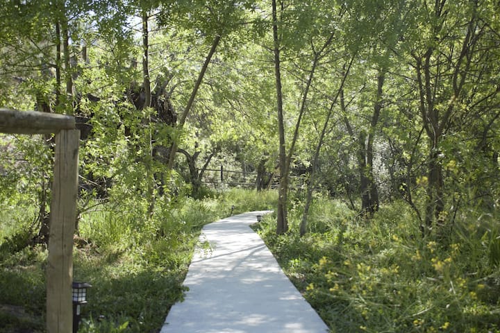 Foto de galería Natura Domo 2