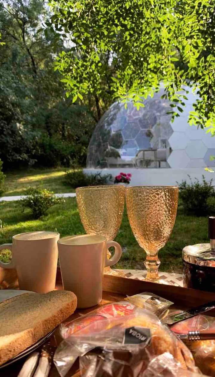 Domo transparente en plena naturaleza